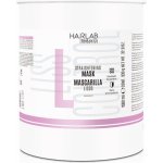 Salerm LISS CONTROLvyhlazující maska proti krepatění 1000 ml – Hledejceny.cz