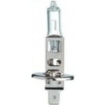 Hejalux H1 P14,5s 24V 70W
