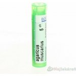 AGARICUS MUSCARIUS POR 5CH GRA 1X4G – Hledejceny.cz