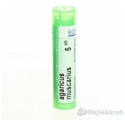 AGARICUS MUSCARIUS POR 5CH GRA 1X4G – Hledejceny.cz