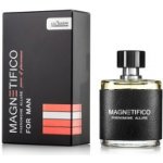Magnetifico Power Of Pheromones Pheromone Allure For Man 50ml – Zbozi.Blesk.cz