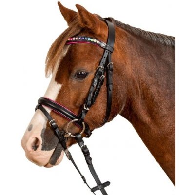 Uzdečka STAR Pinky s anglickým nánosníkem černá – Zboží Dáma