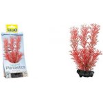 Tetra Myriophyllum heterophyllum - Red Foxtail 15 cm – Sleviste.cz