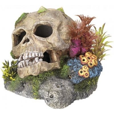 Nobby Lebka s korálem 13,5x13x10 cm – Zboží Mobilmania