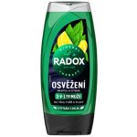 Radox Men osvěžení Mentol a citrus sprchový gel pro muže 225 ml – Hledejceny.cz