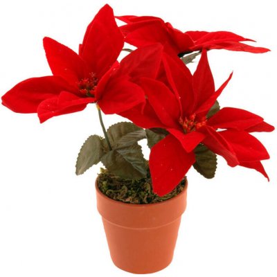Home Styling Collection Umělá betlémská hvězda v květináči výš. 22 cm – Hledejceny.cz