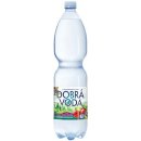 DOBRÁ VODA LESNÍ PLODY 1,5L