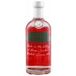 Absolut Watermelon 38% 0,7 l (holá láhev) – Hledejceny.cz