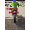 Hra na PC Survival Driver