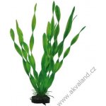 Hobby Vallisneria 34 cm – Sleviste.cz