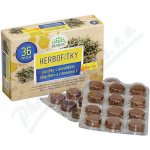 Herbofitky s islandským lišejníkem a vit.C Galmed 36ks – Zboží Dáma