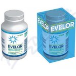 Evelor resveratrol 50 mg 90 tablet – Hledejceny.cz