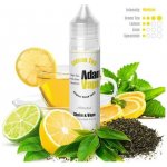 Adams vape Lemon Tea Shake & Vape 10 ml – Zboží Dáma