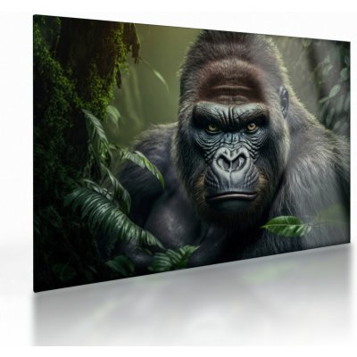 Skleněný obraz - Portrét gorily, jednodílný 70x50 cm na skle – Hledejceny.cz