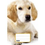 Reas Pack Školní sešit 523 A5 linkovaný – Zboží Dáma Reas Pack Školní sešit 523 A5 linkovaný – Zboží Dáma