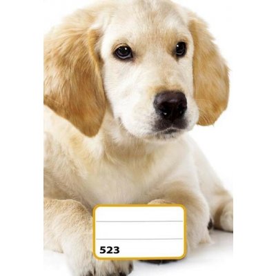 Reas Pack Školní sešit 523 A5 linkovaný – Zboží Dáma Reas Pack Školní sešit 523 A5 linkovaný – Zboží Dáma