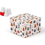 MFP 5371166 Krabice dárková vánoční C-V009-G 20x20x14cm – Hledejceny.cz