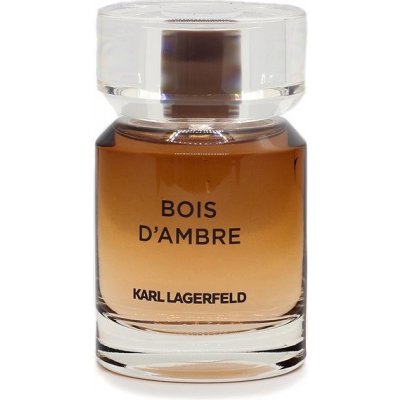 Lagerfeld Les Parfums Matieres Bois d´Ambre toaletní voda pánská 50 ml – Zboží Mobilmania