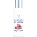 Haslinger Sandelholz After Shave balzám po holení 100 ml – Hledejceny.cz
