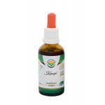 Salvia Paradise Konopí Cannabis sativa AF tinktura 50 ml – Hledejceny.cz