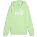 Puma Ess No. 1 Logo Hoodie TR B 68490949 zelená – Zboží Mobilmania