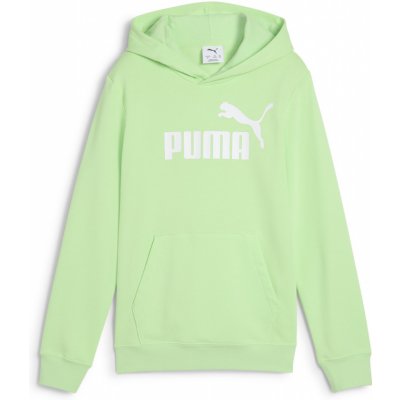 Puma Ess No. 1 Logo Hoodie TR B 68490949 zelená – Zboží Mobilmania