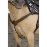 Equitheme Westernový poprsník Westride hnědý – Zboží Dáma