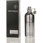 Montale Sandal Sliver parfémovaná voda unisex 100 ml – Hledejceny.cz