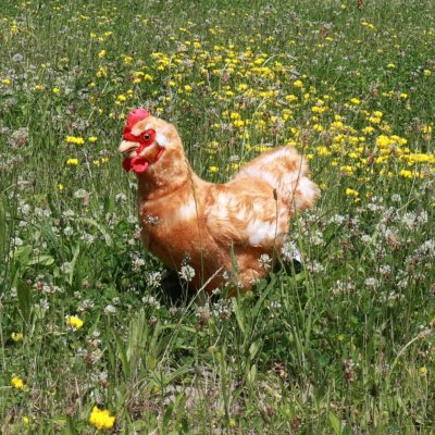 Rappa Eco-Friendly slepice stojící 33 cm – Sleviste.cz