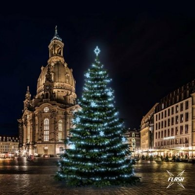 DECOLED, DLED TFS5022 LED světelná sada na stromy vysoké 15-17m, ledová bílá s Flesh, dekory EFD05 – Hledejceny.cz