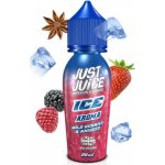 Just Juice Shake & Vape ICE Wild Berries & Aniseed 20 ml – Zbozi.Blesk.cz