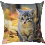 Dadka Fotopolštář Kotě s listím 40x40 – Zboží Dáma