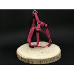 Palkar motýlek postroj pro psy – Zbozi.Blesk.cz