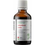 Dědek kořenář Novy Jahodová směs UK 50 ml – Hledejceny.cz