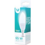 Forever Led žárovka E14 10W 3000K svíčka ceramic – Hledejceny.cz