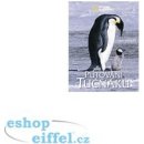 Putování tučňáků - National Geographic - Jerome Maison