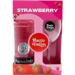 Puerto de Indias Strawberry 37,5% 0,7 l (dárkové balení 1 sklenice) – Sleviste.cz