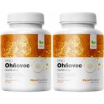 Mycomedica Ohňovec PRO 2 x 90 kapslí – Hledejceny.cz