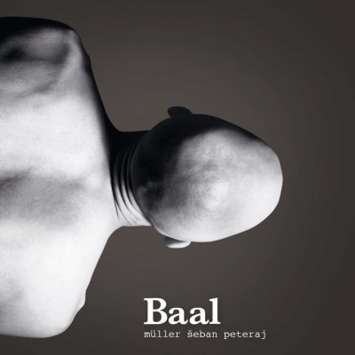 Richard Müller, Andrej Šeban, Kamil Peteraj - Baal CD – Hledejceny.cz