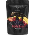Gecko Nutrition banán, lesní ovoce 50 g – Hledejceny.cz