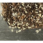 Tropic springtails chvostoskoci Collembola 750 ml – Zboží Dáma