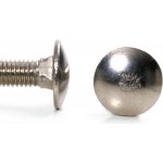 Šroub vratový nerez A2, DIN 603 - M10x100 – Zboží Mobilmania