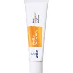 Weleda Arnika mast 30% Balzám na tělo 70 g – Hledejceny.cz