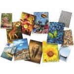 Papírny Brno kniha záznamní šitá A4 linka 192 listů – Sleviste.cz