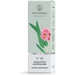 Aromatique Vonný olej Eco natural Eucalyptus 12 ml – Hledejceny.cz