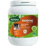 Ravene Krmný doplněk pro koně a poníky BIODYNE 1 kg – Hledejceny.cz