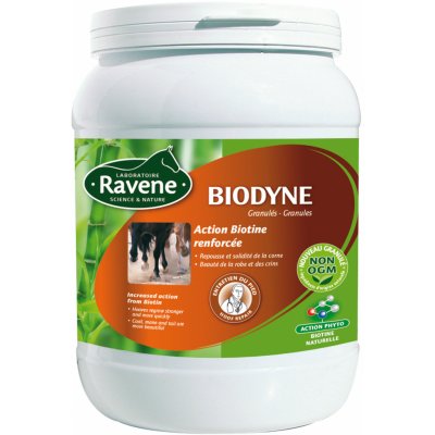 Ravene Krmný doplněk pro koně a poníky BIODYNE 1 kg – Hledejceny.cz