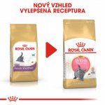 Royal Canin British Shorthair Kitten 2 kg – Sleviste.cz