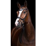 HKM Uzdečka Anatomic Černá – Zboží Dáma