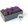 Flexi Element vyvýšený záhon - obdélník 51 cm 125 cm 100 cm